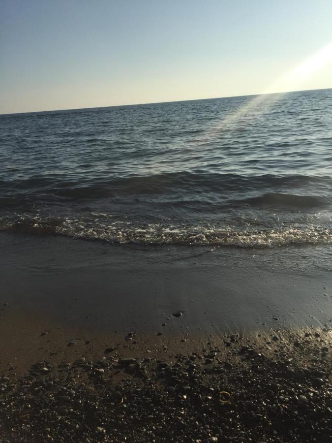 Mare Toscano Lejlighed Riparbella Eksteriør billede